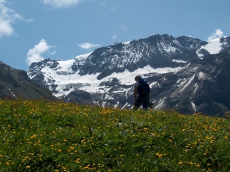 metsch-hahnenmoos Adelboden